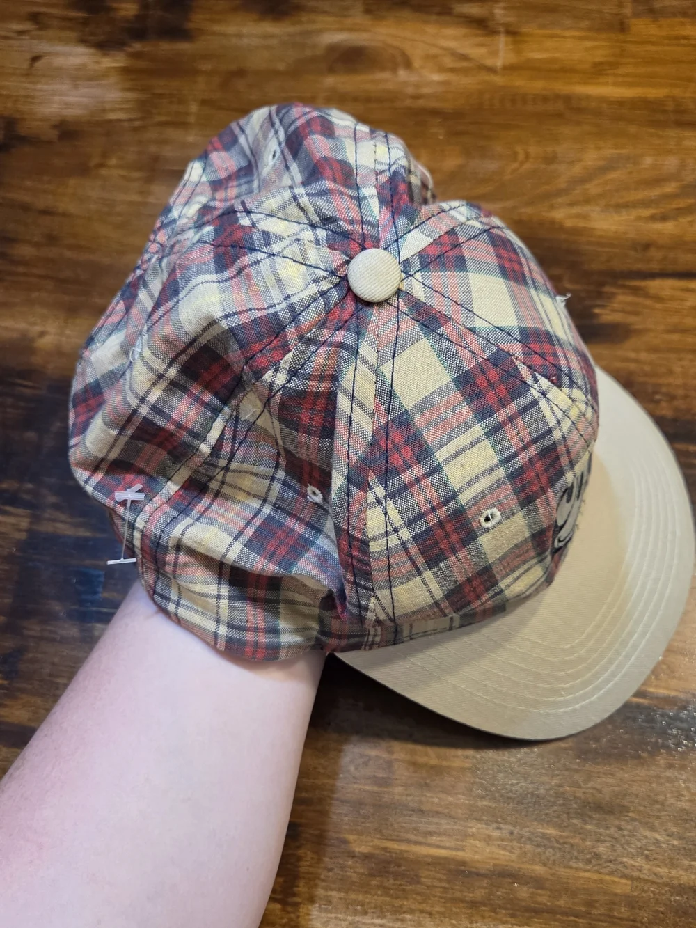 Vintage Felix The Cat Plaid Snapback 90s Hat Annco Toon Indie Sleeze Colorblock